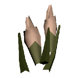 Gravelstem Whiteflower