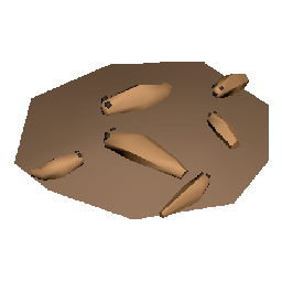 Maggots