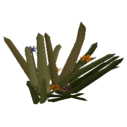 Wildgrowth