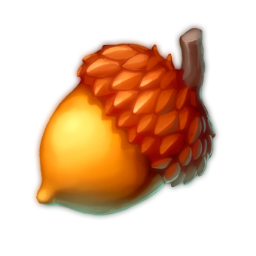 Good Looking Acorn