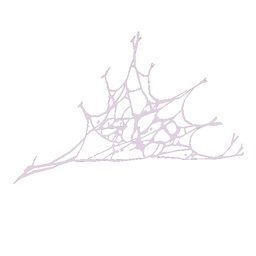 Spider Web (Corner)