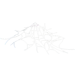 Spider Web (Small)