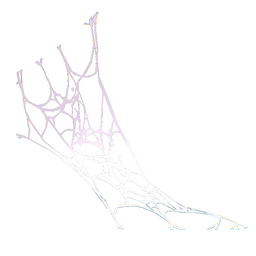 Spider Web (Thin)