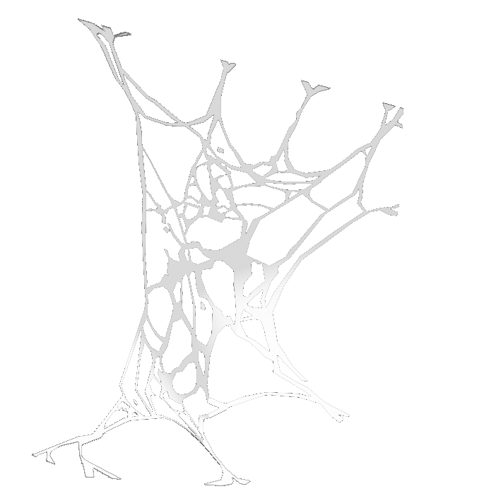 Spider Web (Wide)