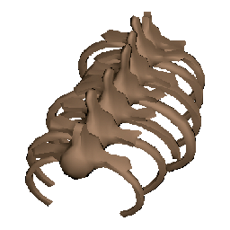 Piece of Kreogu's Exoskeleton
