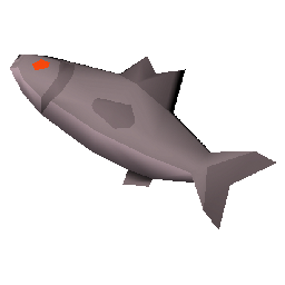 Raw Pebble Sturgeon