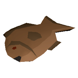 Raw Sandstone Grouper