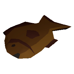 Cooked Sandstone Grouper