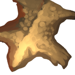 Bear Pelt