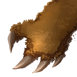 Bear Paw