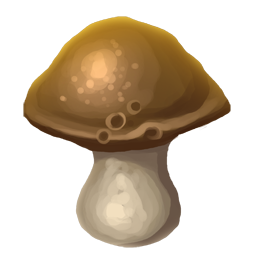 Mushroom