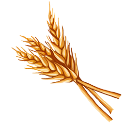 Barley