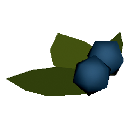 Blueberries
