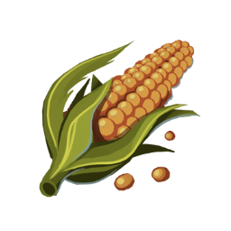 Corn