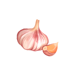 Garlic