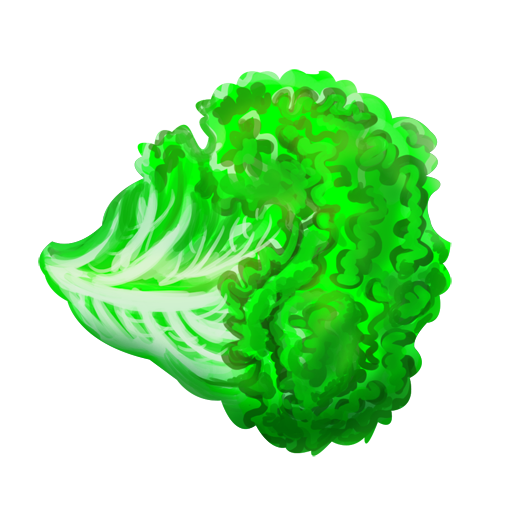 Lettuce