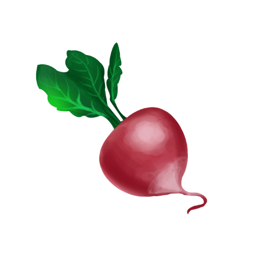 Radish