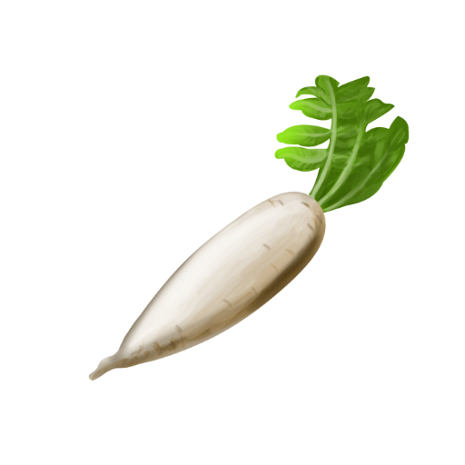 White Radish