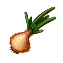 Onion