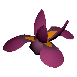 Silvermirror Iris