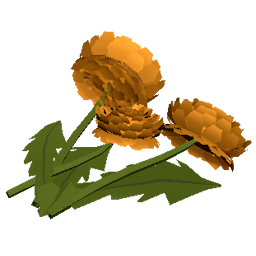 Dandelions