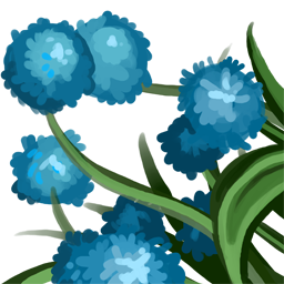 Falls Hydrangea