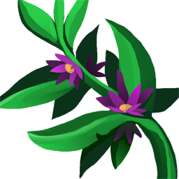 Shyflower Orchid