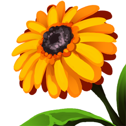 Golden Sunflower