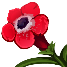 Poppy of the Fallen