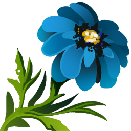 Deep Forest Daisy