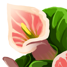 Queen's Lily