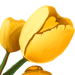 Golden Tulip