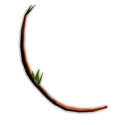 Davison's Hunting Bow