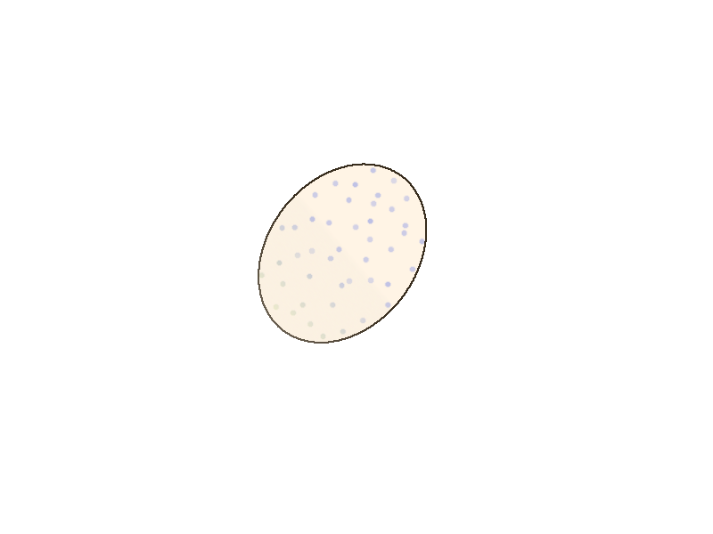 Egg