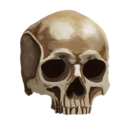Skull