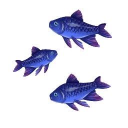 Raw Mistwater Herring