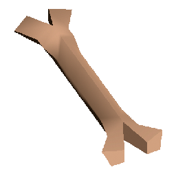 Preserved Bone