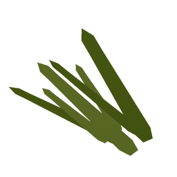 Sweetgrass