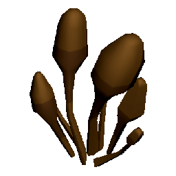 Barkshroom