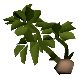 Gravelstem Root