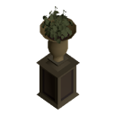 Plant in a Vase