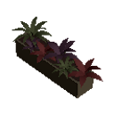 Flowers in Wooden Planter