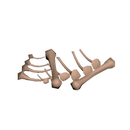 Vulture Bones