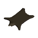Bear Rug
