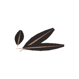 Vulture Feathers