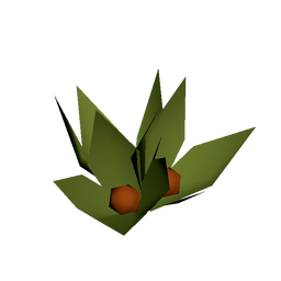 Timberleaf Ivy